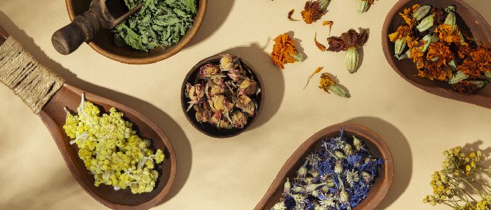 Unlocking the Power of Ayurveda - A New Dawn in Skin and Hair Care with Breathe Organics